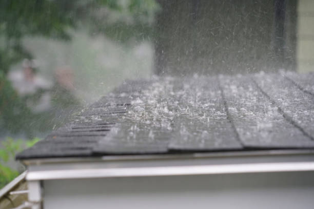 Best Sheet Metal Roofing  in Skyline View, PA