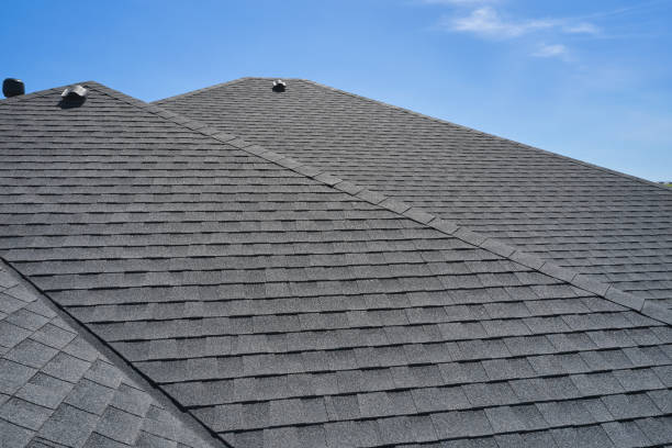 Best Roof Moss and Algae Removal  in Skyline View, PA